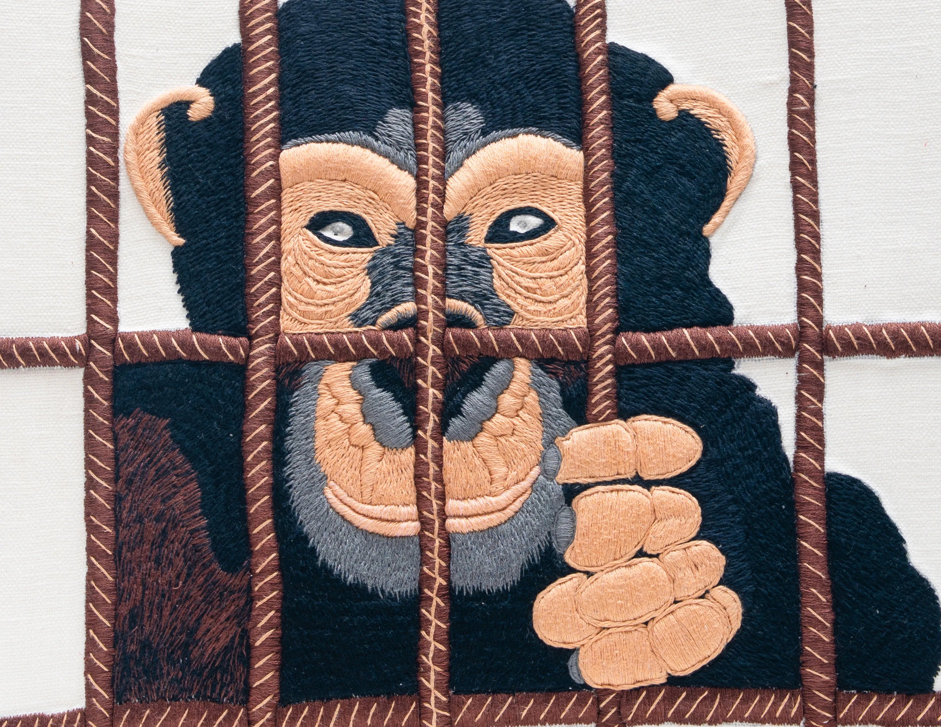Save the Chimps