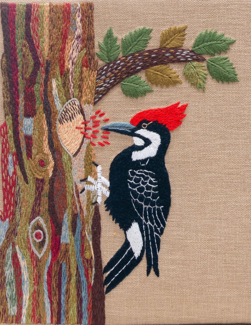 Woodpecker's Rhythm