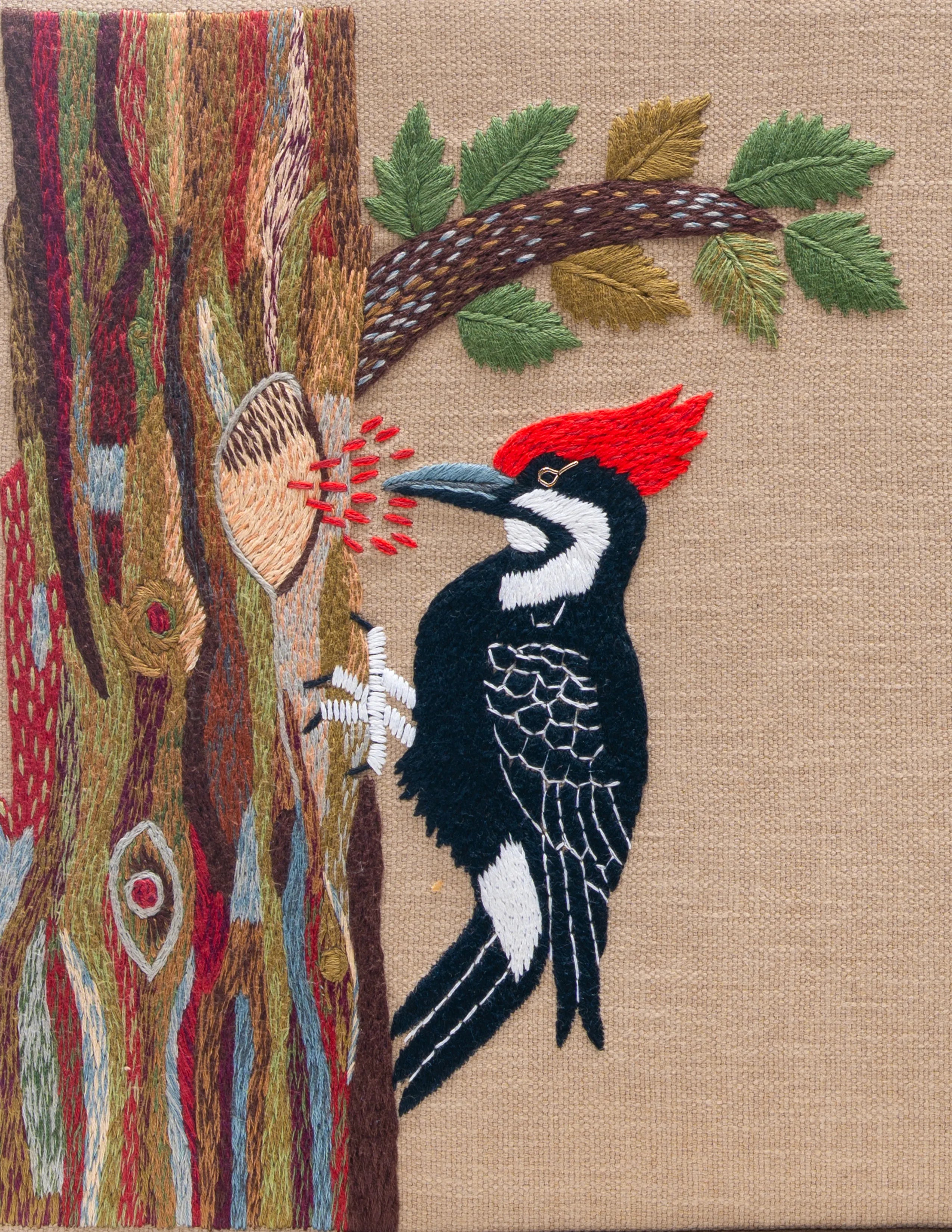 Woodpecker's Rhythm