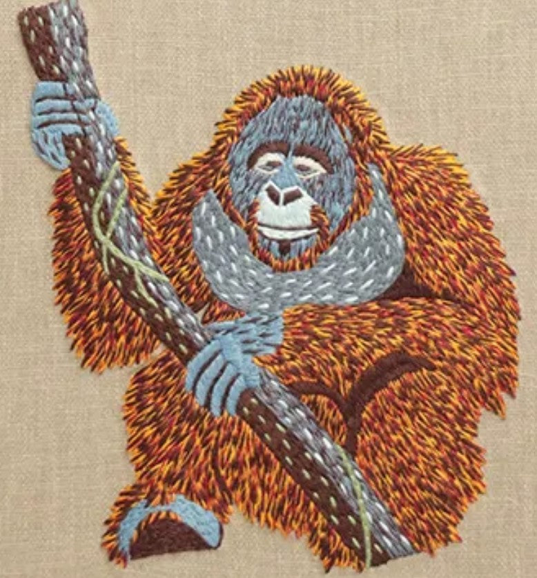 The Orangutan Haven